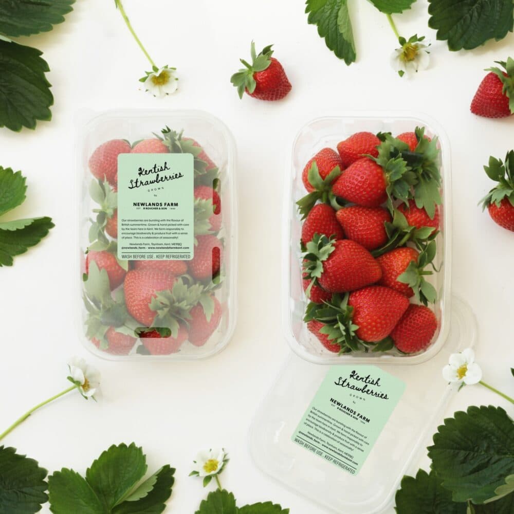 Newlands strawberries 2020 square